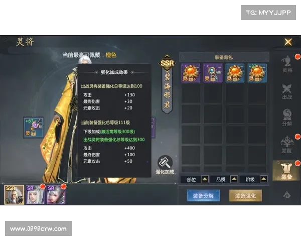 王国纪元:隐匿实力的艺术 王国纪元:隐匿实力的艺术