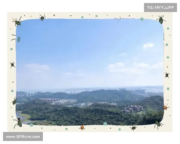 神武大陆奇遇记:寻觅隐秘宝藏 神武大陆奇遇记:寻觅隐秘宝藏